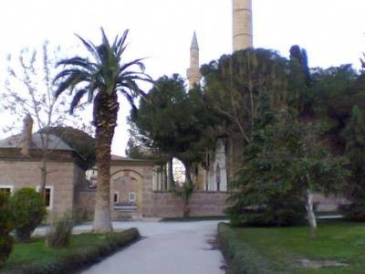 Nüfusu, il nüfuslarından büyük ilçeler 114