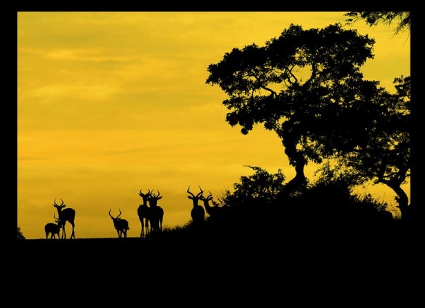 Muhteşem gün batımı manzaraları 24