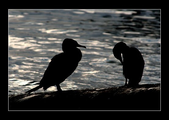 Muhteşem gün batımı manzaraları 5