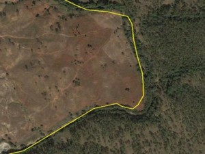 Ülkelerle ilgili sıra dışı bilgiler