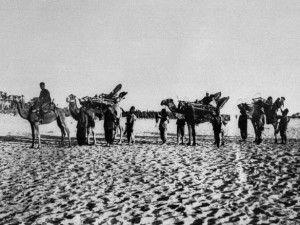 1. Dünya Savaşı'nın ilk kez yayınlanan kareleri