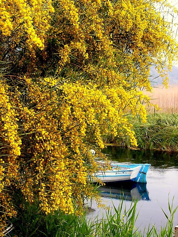 Türkiye'nin gizli cennetleri 10