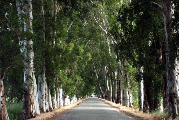 Türkiye'nin gizli cennetleri 22