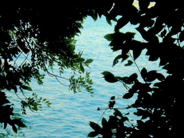 Türkiye'nin gizli cennetleri 33