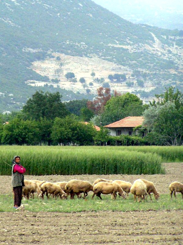 Türkiye'nin gizli cennetleri 37