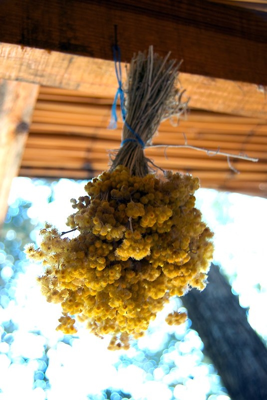 Türkiye'nin gizli cennetleri 52