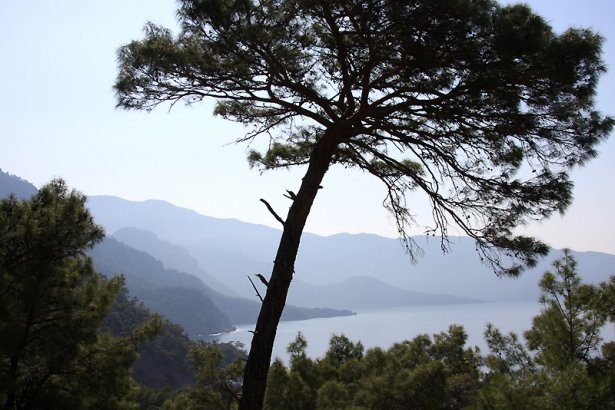 Türkiye'nin gizli cennetleri 58