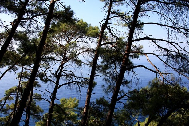 Türkiye'nin gizli cennetleri 61