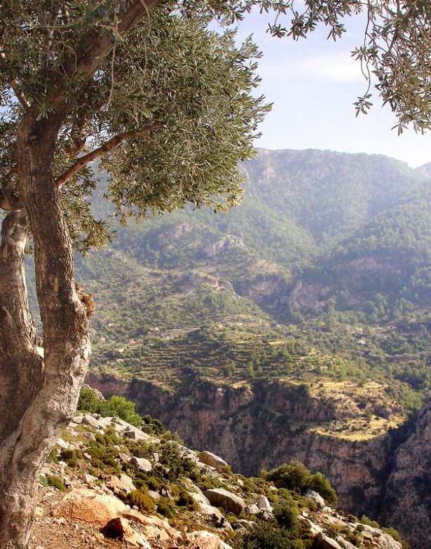 Türkiye'nin gizli cennetleri 62