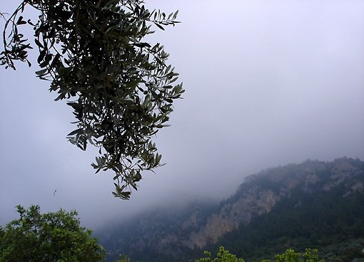 Türkiye'nin gizli cennetleri 65