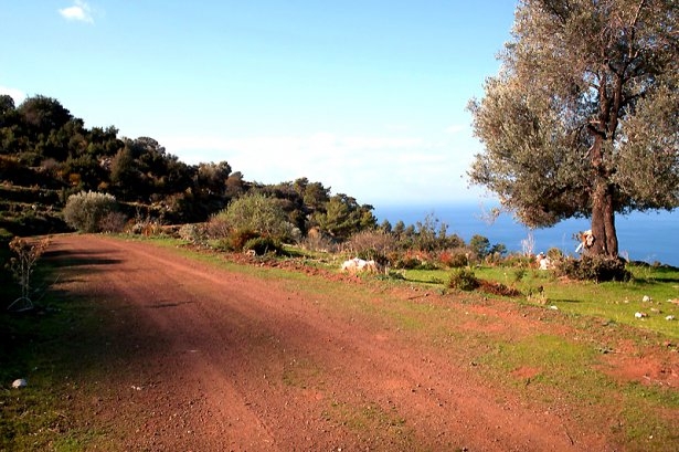 Türkiye'nin gizli cennetleri 66