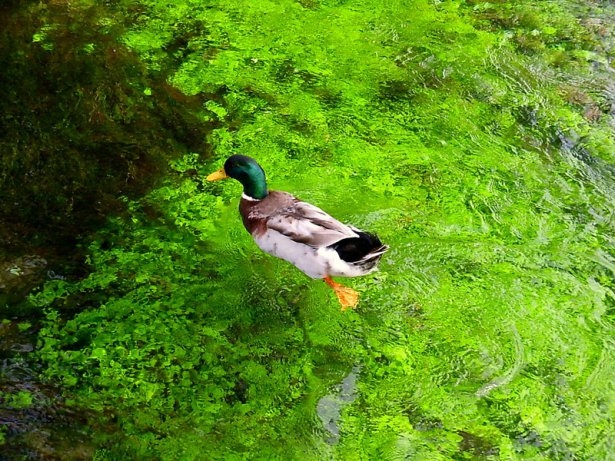 Türkiye'nin gizli cennetleri 7