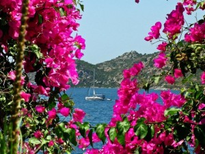 Türkiye'nin gizli cennetleri