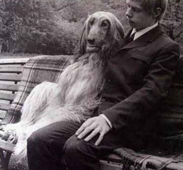 Bu fotoğraflarda bir terslik var 10