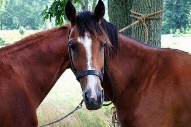 Bu fotoğraflarda bir terslik var 14