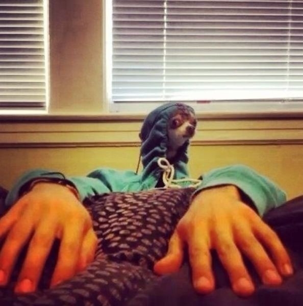 Bu fotoğraflarda bir terslik var 2