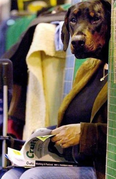 Bu fotoğraflarda bir terslik var 20