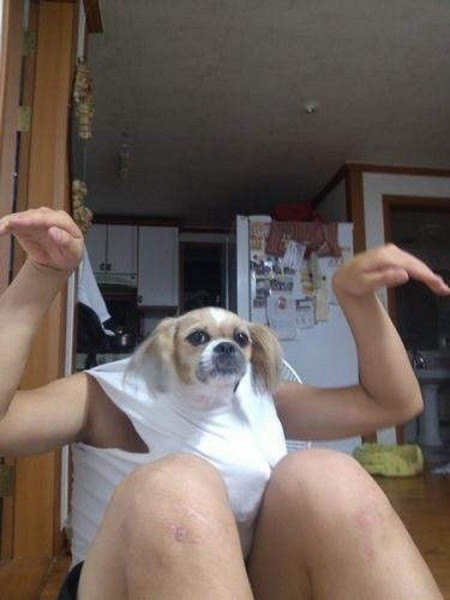 Bu fotoğraflarda bir terslik var 23