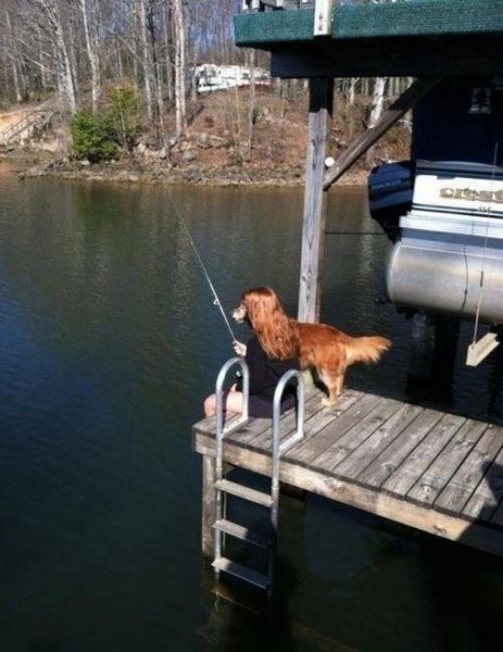 Bu fotoğraflarda bir terslik var 26