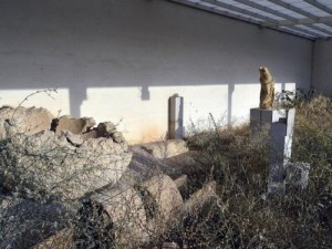 Çöplüğe dönen tesisler!