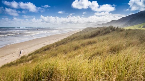 Dünyanın hayran bırakan 50 fotoğrafı 40