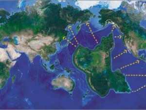 Türkler bu kıtadan mı geliyor?