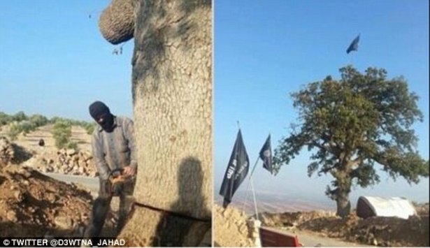 İşte IŞİD militanlarının lüks yaşamı 5