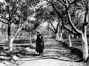 Köşk'ün 91 yıllık serüveni