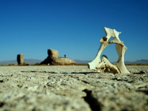 Çekiler suların altından Osmanlı kalesi çıktı