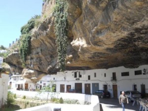 Bu evlerde yaşar mıydınız?