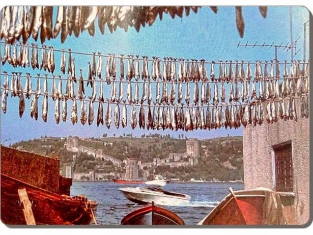 İstanbul bir zamanlar böyleydi 65