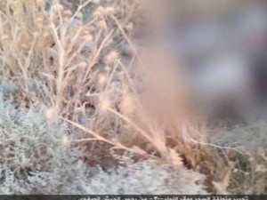 IŞİD, korkunç katliamın fotoğraflarını yayınladı