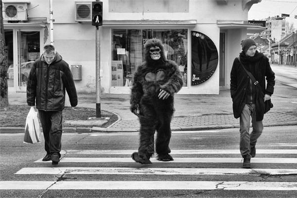 Fotoğraflar ile iş hayatında 24 saat 17