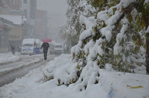 Türkiye'den kar manzaraları 23