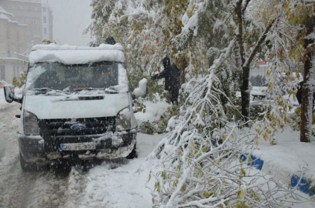 Türkiye'den kar manzaraları 24