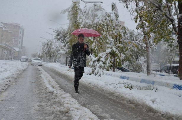 Türkiye'den kar manzaraları 26