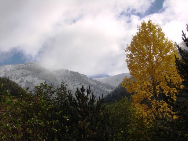 Türkiye'den kar manzaraları 36