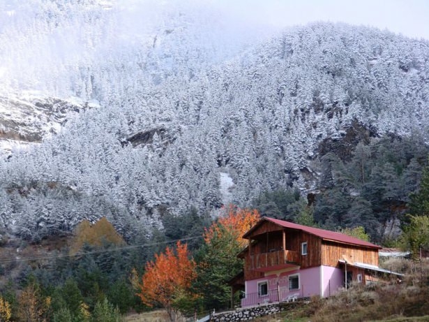 Türkiye'den kar manzaraları 39