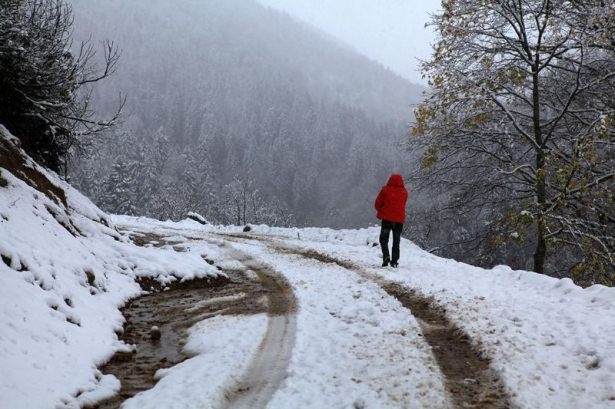 Türkiye'den kar manzaraları 42