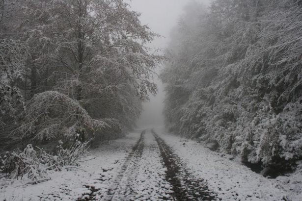 Türkiye'den kar manzaraları 58