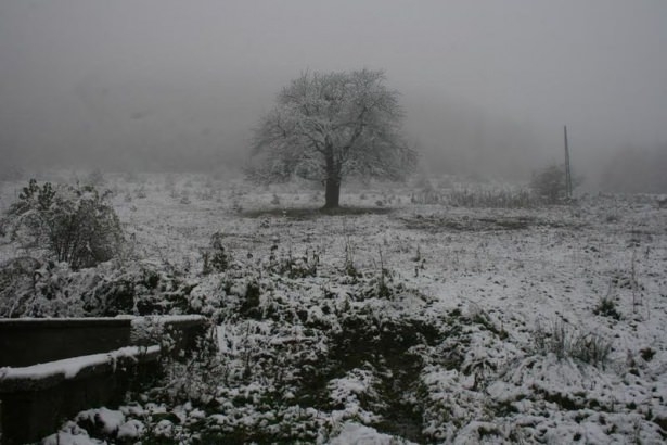 Türkiye'den kar manzaraları 59