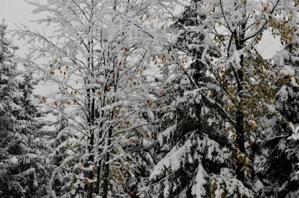 Türkiye'den kar manzaraları 67