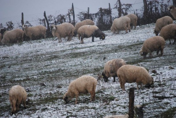 Türkiye'den kar manzaraları 86