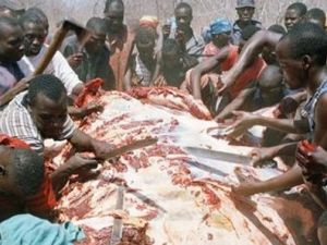 Açlık bunu bile yaptırdı