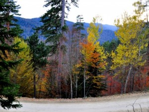 Yedigöller'de olmanın tam zamanı