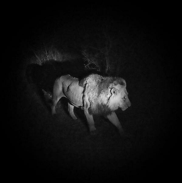 İnanılmaz NG fotoğrafları 18