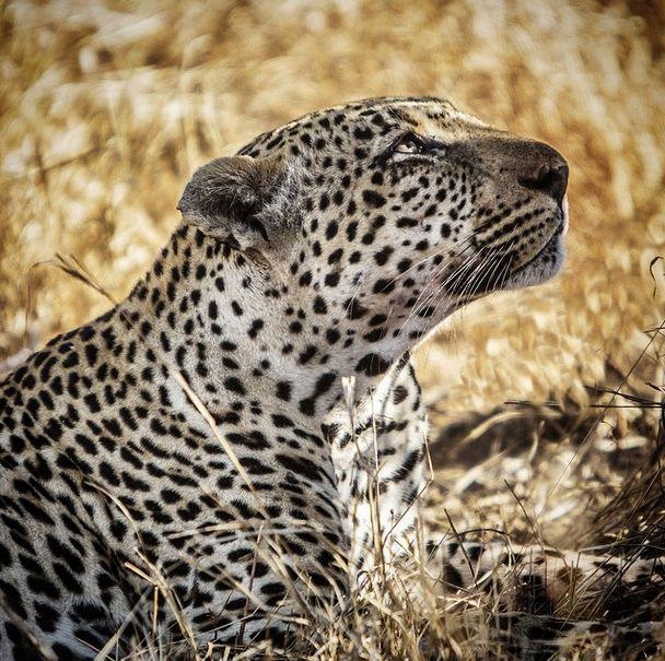 İnanılmaz NG fotoğrafları 20