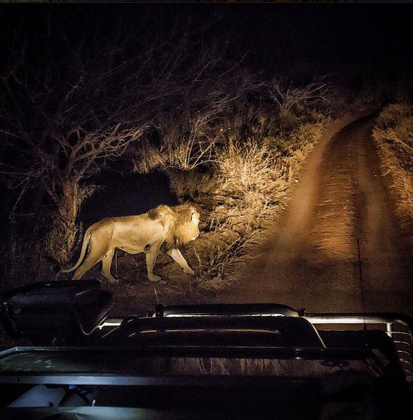 İnanılmaz NG fotoğrafları 21