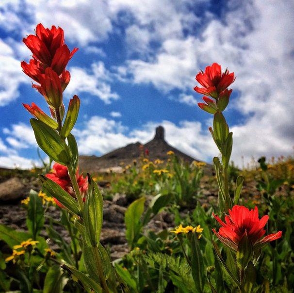 İnanılmaz NG fotoğrafları 33