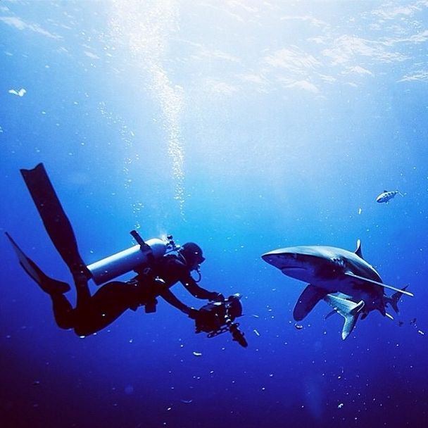 İnanılmaz NG fotoğrafları 36